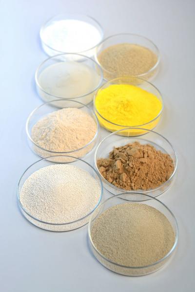 Betelnut Specialized Enzyme：destroy betel nut coarse fibers