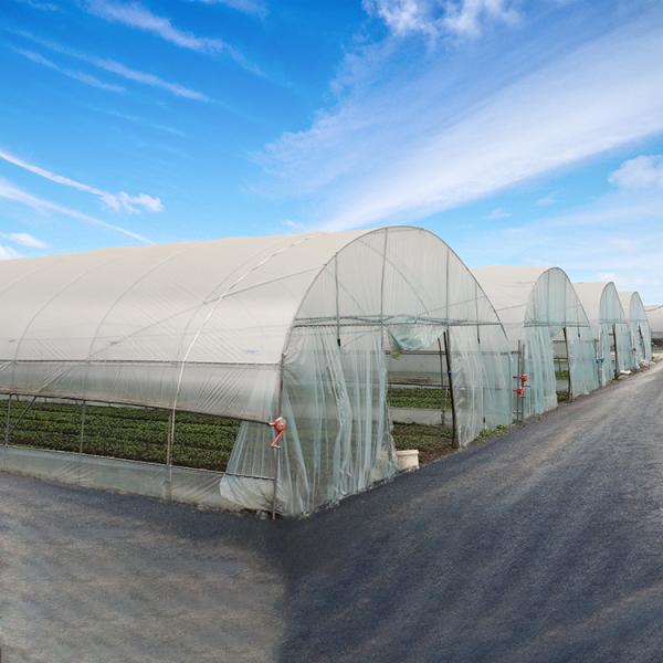 Feuille de plastique en acier galvanisée de tunnel Greenhouseouse avec ombrager le filet