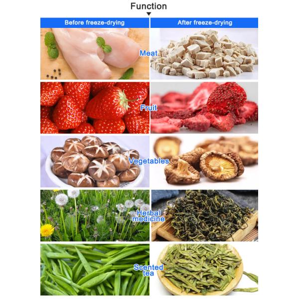 TOPTION Домашние морозильные сушилки 220В Морозильная сушилка для пищи