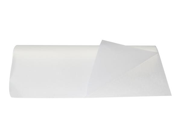 Milky White Translucent Polyester Hot Melt Adhesive Film For Shoe Tongue