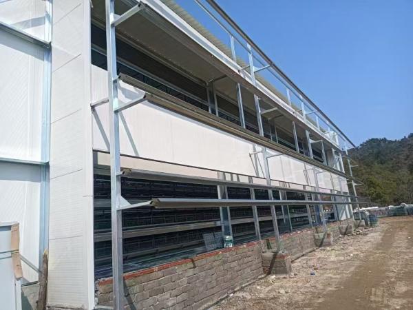 Type H Laying Hens Breeding Chicken Automatic Equipment