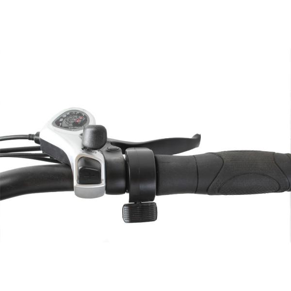 20 Inch 500w Electric Bike 8 Speed Fat Tyre Adult E Bicycle with 2 Seats and Foot Rest