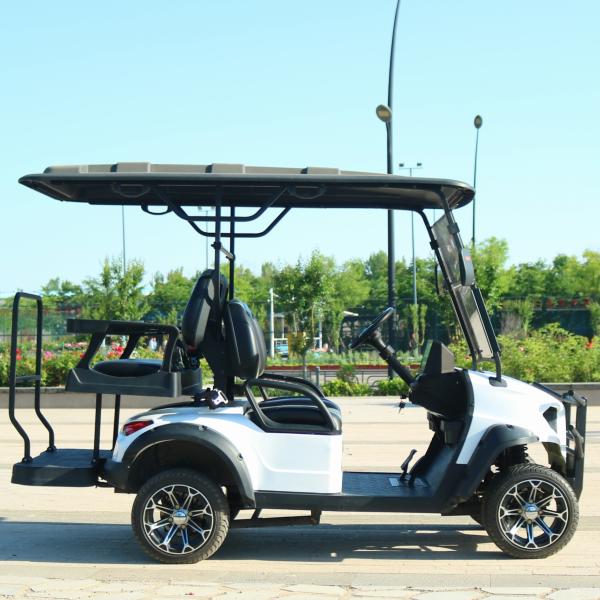 Novo carro de golfe elétrico de 2+2 lugares de 5kw Motor Suspensão independente Freio eletromagnético