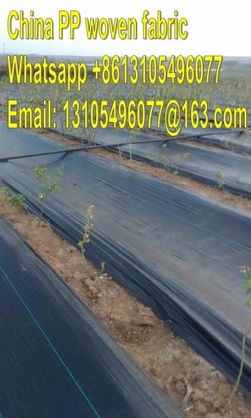 2m x 10m 100g Weed Control Ground Cover Membrane Landscape Fabric Heavy Duty