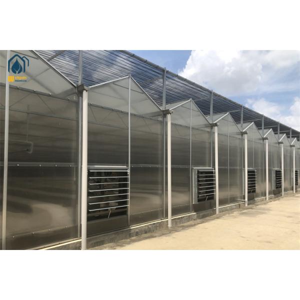 Twin Wall Polycarbonate Greenhouse Smart Cultivation Automated Hydroponic