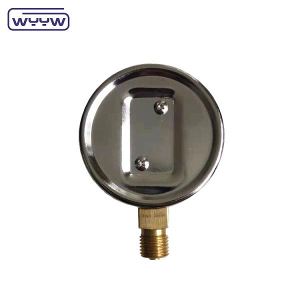 Mbar Kpa General Steel Capsule Pressure Gauge 100mm OEM ODM OBM Customized