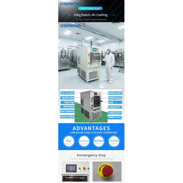 10Kg Pilot Freeze Dryer PLC Touch Screen Laboratory Freeze Dryers