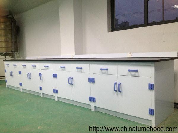 Floor Mounting Laboratory Working Table PP Material For College Biology Class