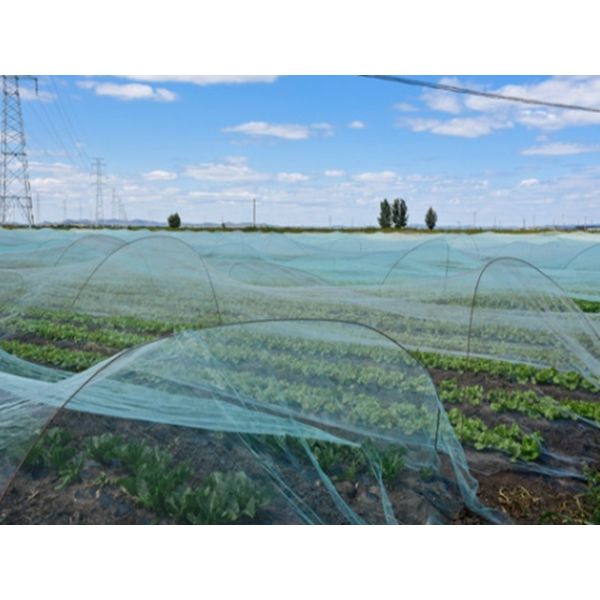 Flowers Or Plants Garden Mesh Netting For Raised Beds 5 Years