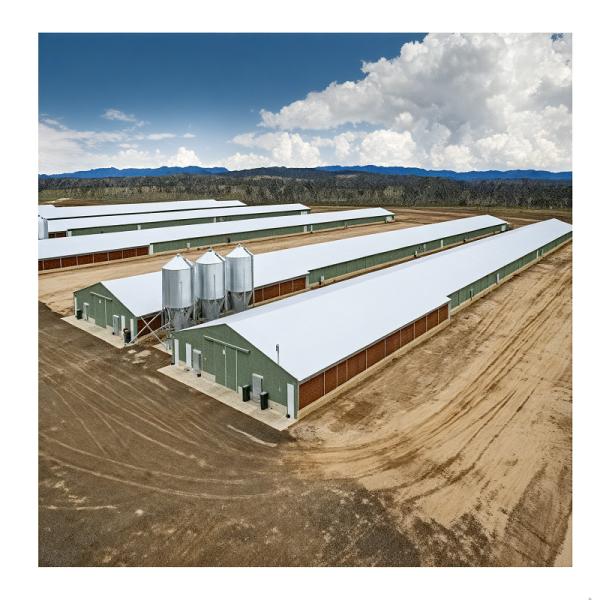 Construction de maisons en acier léger économique