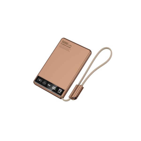 Besiter Ultra-thin Wireless Magnetic Power bank 5000mAh 20W Mini Power Bank