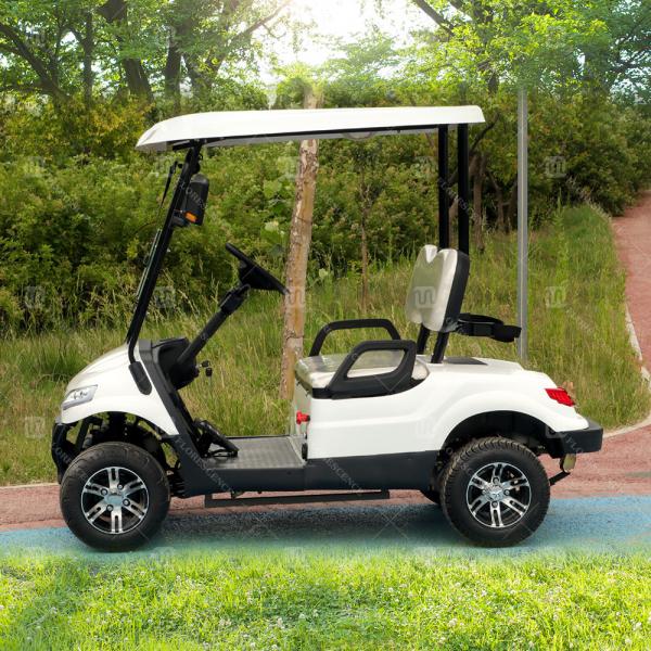 25Mph-40Mph New Energy 2 Seater Golf Cart For Club Leisure Resort
