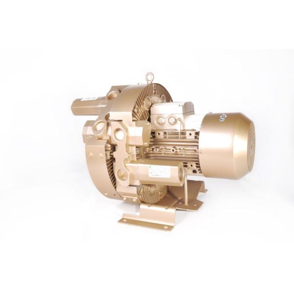 Goorui 4kw Regenerative Ring Air Blower Side Channel Double Stage 3 Phase