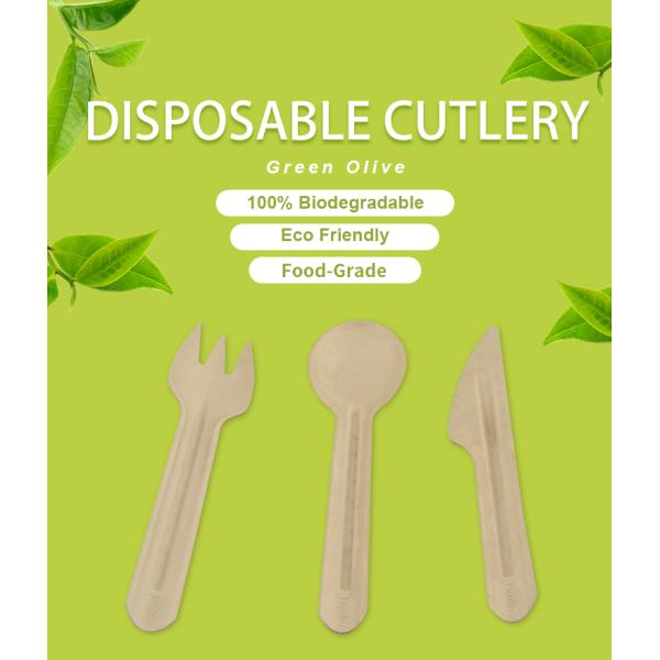 утвари багассы 16cm Biodegradable устранимые для оптовой продажи фабрики партии