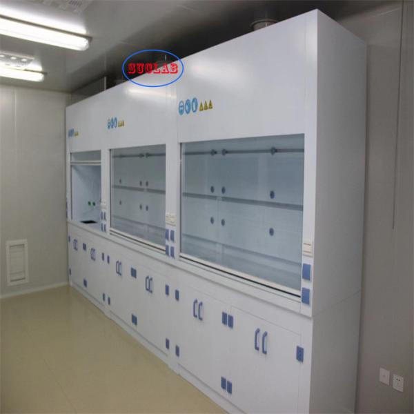 Wall Mounted Chemical Fume Hood Laboratory Fuming Cupboard 220V Voltage for Effective Ventilation
