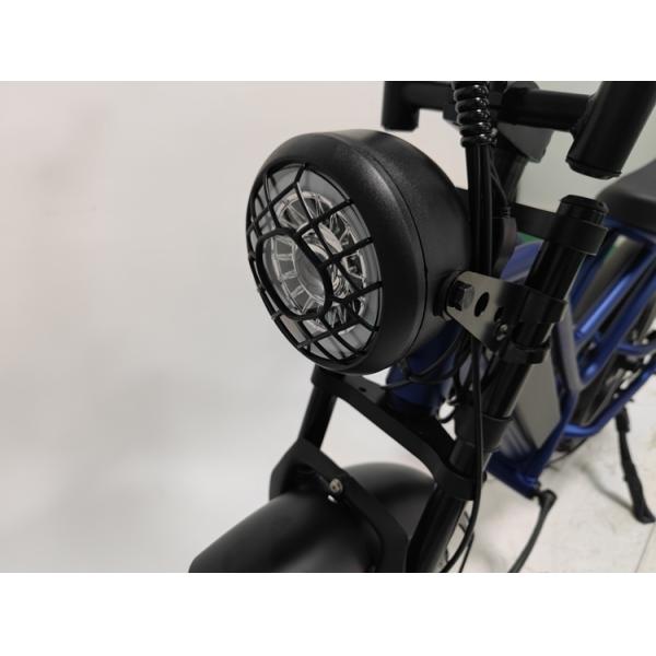 Off-Road Adventures Made Easy with Electric Fat Tire Bike 7 Speed MTB E-Bike and 4.0 Inch Tires