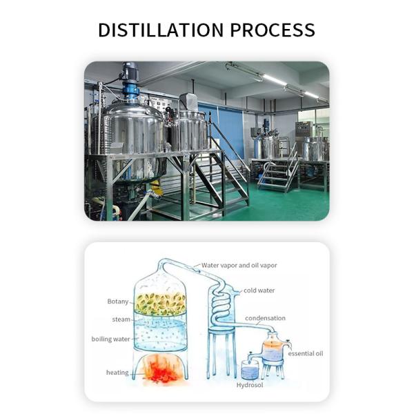 750ML Massage Essential OIls Hemp Seed Essential Oils For Skin Detoxifying