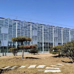 High - Tech Venlo Glass Greenhouse for Strawberry Hydroponics