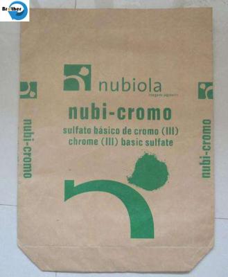 Kraft Paper Laminated with Polypropylene Mesh Tube Woven Bag Small Custom Food Perforated