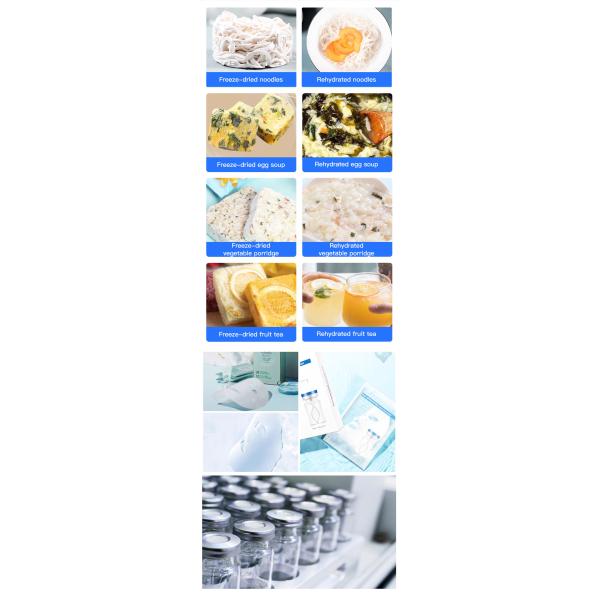 Fruit Vegetable Liquid Lyophilizer 50kg/24 Hour Small Commercial Freeze Dryer