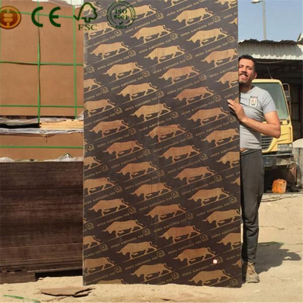 Phenolic Hot Press Finger Jointed Core  Black Phenolic Plywood