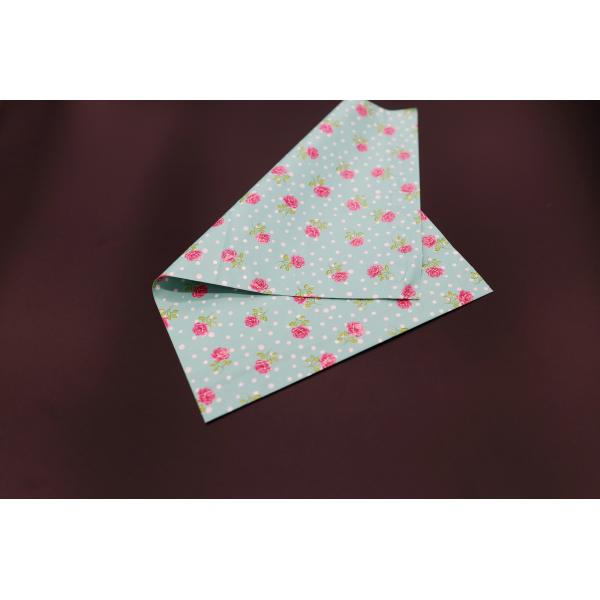 Express Clothing Apparel Poly Packaging Bag Compostable Biodegradable Custom Logo