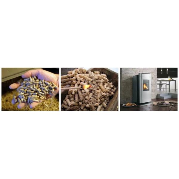 High Density Hay Straw Wood Pelletizer Equipment Wearproof 50HZ