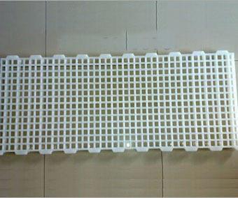 Poultry Farm High Quality Adult And Baby Chicks Poultry Slats baby chicks poultry slats