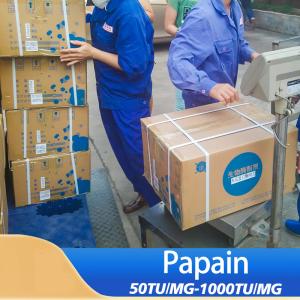 300USP-6000USP Liquid Papaya Enzyme Papain Powder Customized providing enzyme