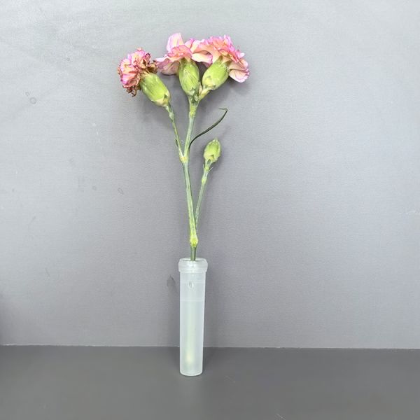 7cm Flower Water Tubes Bouquet