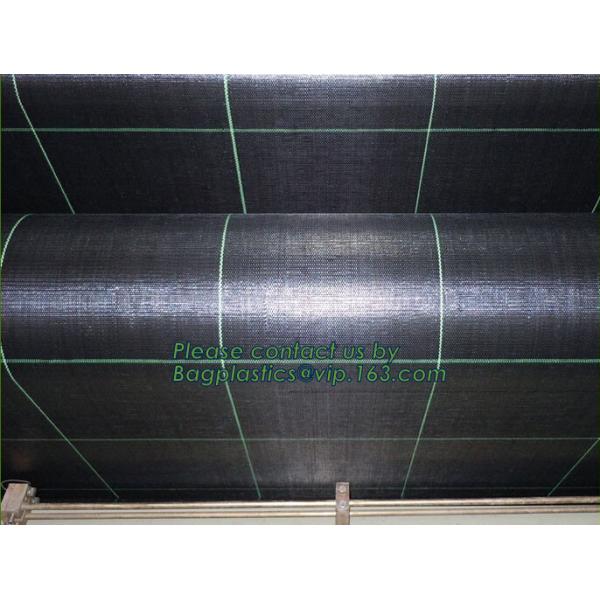 Garden tomato green house greenhouse film 3 layer eva agriculture clear plastic protective 90% transmission green house,