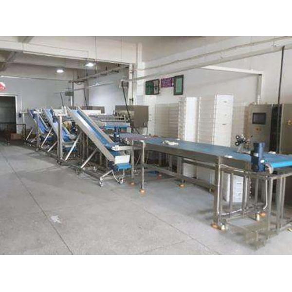 Fabricant chinois ligne de production de pain de hamburger