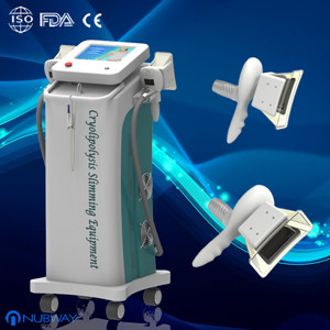 Two Handles Cryolipolysis Fat Removal Machine for Body slim; Weight Loss