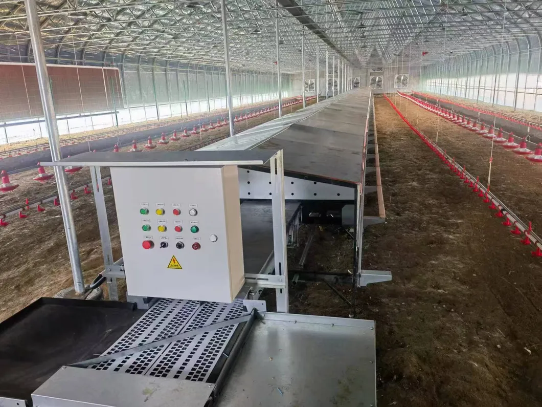 Commercial Fully Automatic Nest Box Poultry Farming Equipment Egg Collection Nest Box