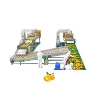 Doce automático industrial da manga que faz a máquina para a trasformação de frutos