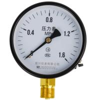 Ferro comum de cobre radial Shell M20*1.5 do calibre de pressão 100mm do CCC Y100