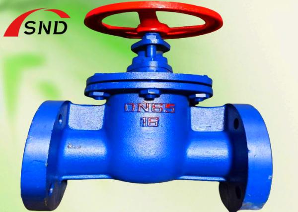 DN65 PN16 Rising Stem Flange Gate Valve HT200 for Piping Systems