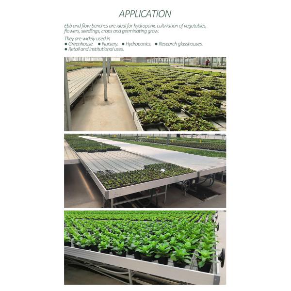 Дополнительное оборудование для теплиц растений 4'×8' 4'×10' Ebb And Flow Rolling Bench