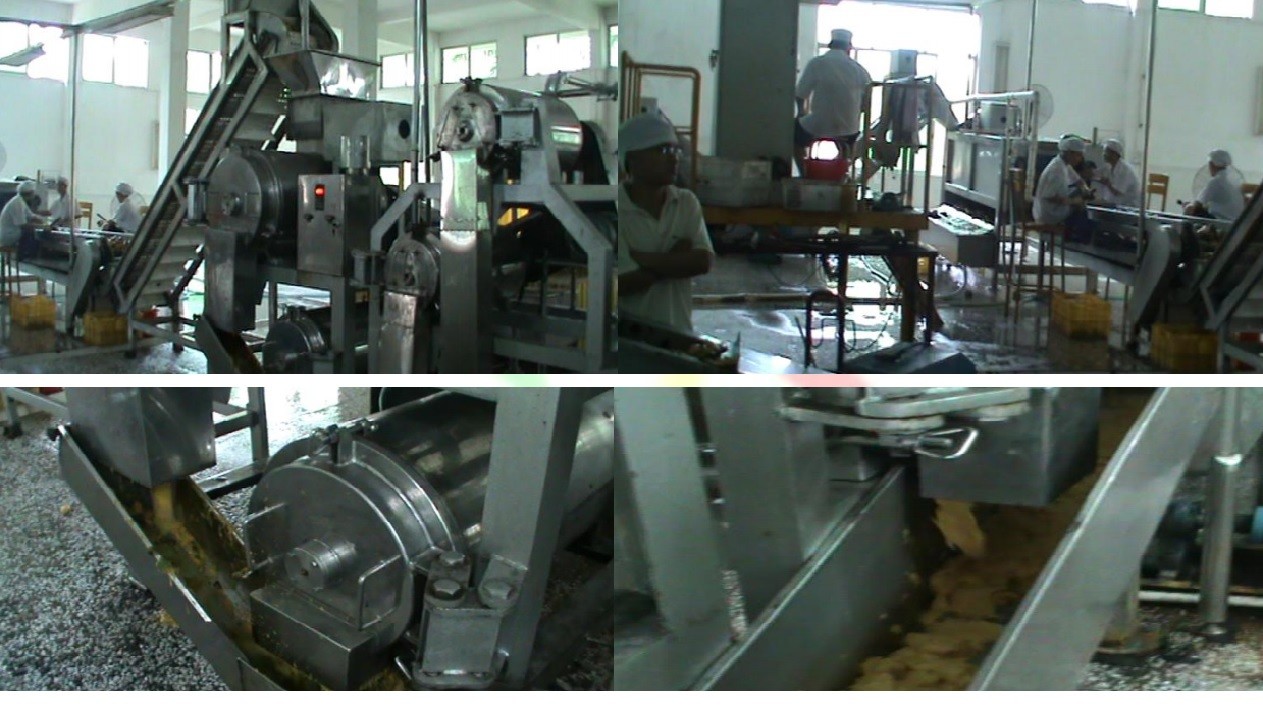 220V / технологическая линия 20 Ton/H сока манго 380V/415V с гарантией 1 года