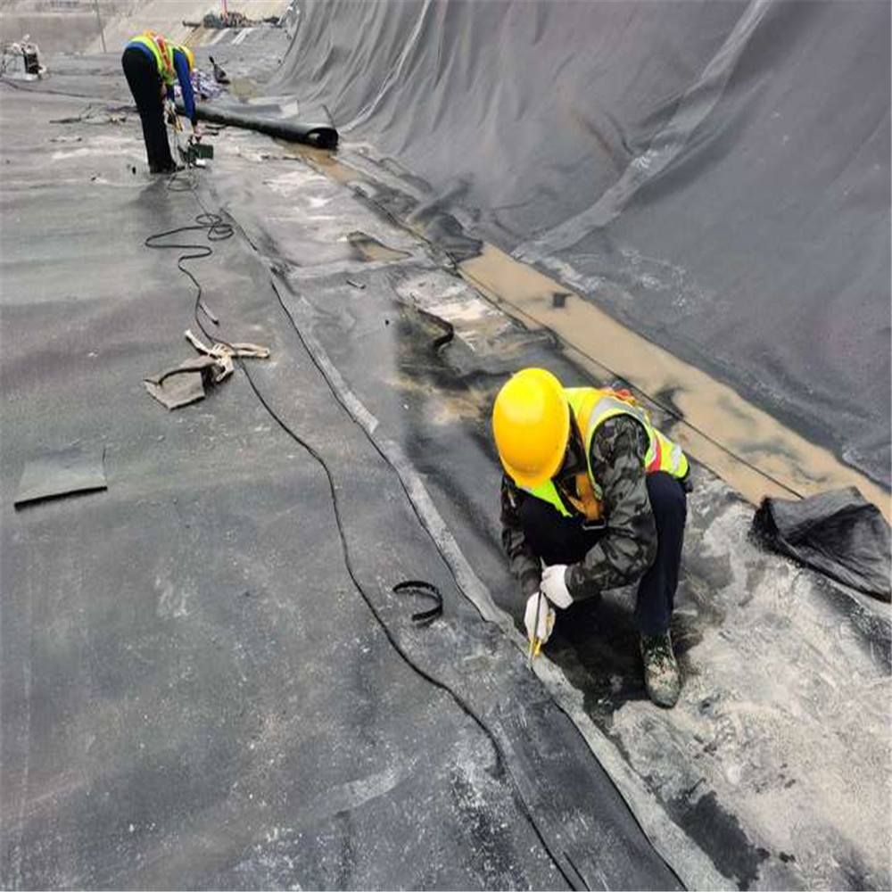 Плавательный бассейн линейка HDPE LDPE дамба линейка для аквакультуры гидроизоля