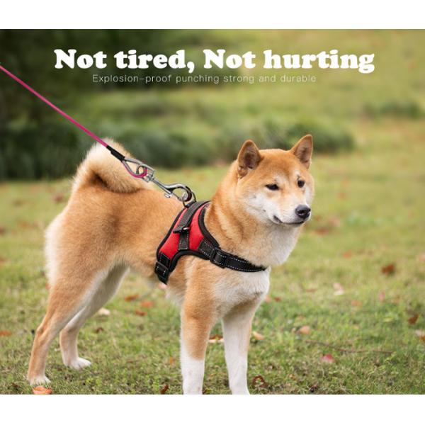 Связь любимца укуса безопасности анти- вне привязывает, кабель собаки красочного Дравстринг сверхмощный