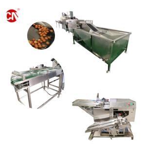 Máquina de fabricação de pó de ovo pequeno com linha de produção de ovos l
