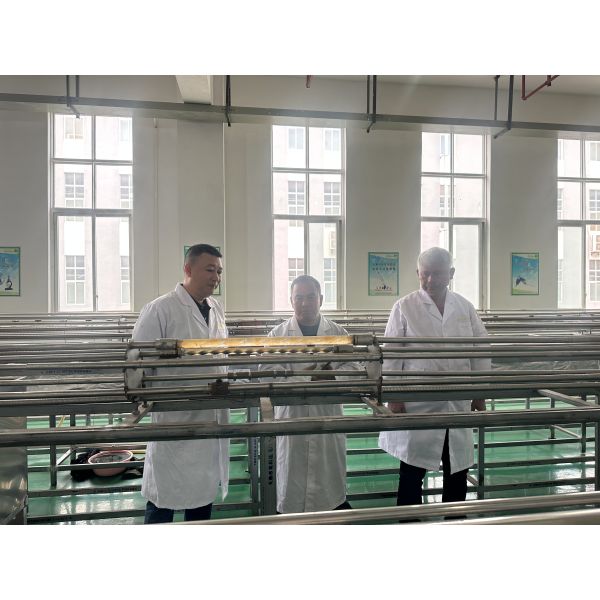 Chongqing Huanxiang Industrial. Co., Ltd.