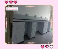 Bancs de laboratoire de chimie fonctionnels Bancs de laboratoire avec armoire en acier inoxydable et plafond en résine phénolique/époxy