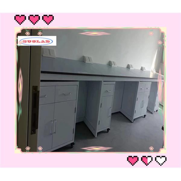 Functional Chemistry Lab Bench Lab Workbenches with Stainless Steel Cabinet and Phenolic/Epoxy Resin Top