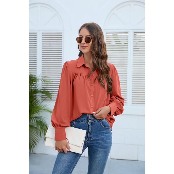 Chiffon White Ruffle Shirt Autumn Spring Hooded Collar Women Trucksuit