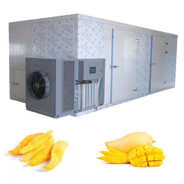 ISO Commercial Hot Fruit Food Cabinet Dryer Mango Lemon Dehydrator