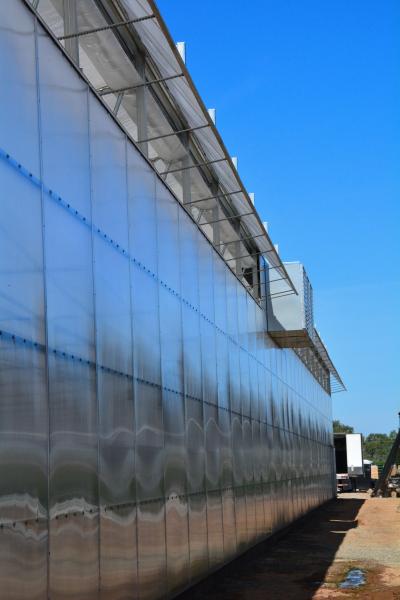 Tropical Area Vegetable Plastic Film Greenhouse For Hydroponic Growing
