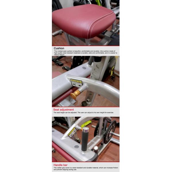 Customized Commercial Grade Gym Equipment Plate Loaded Calf Raise Machines