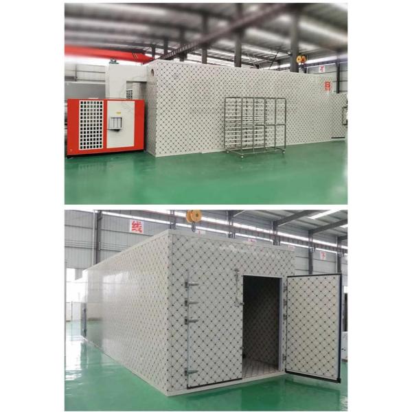 Máquina de secado de frutas y verduras con bomba de calor